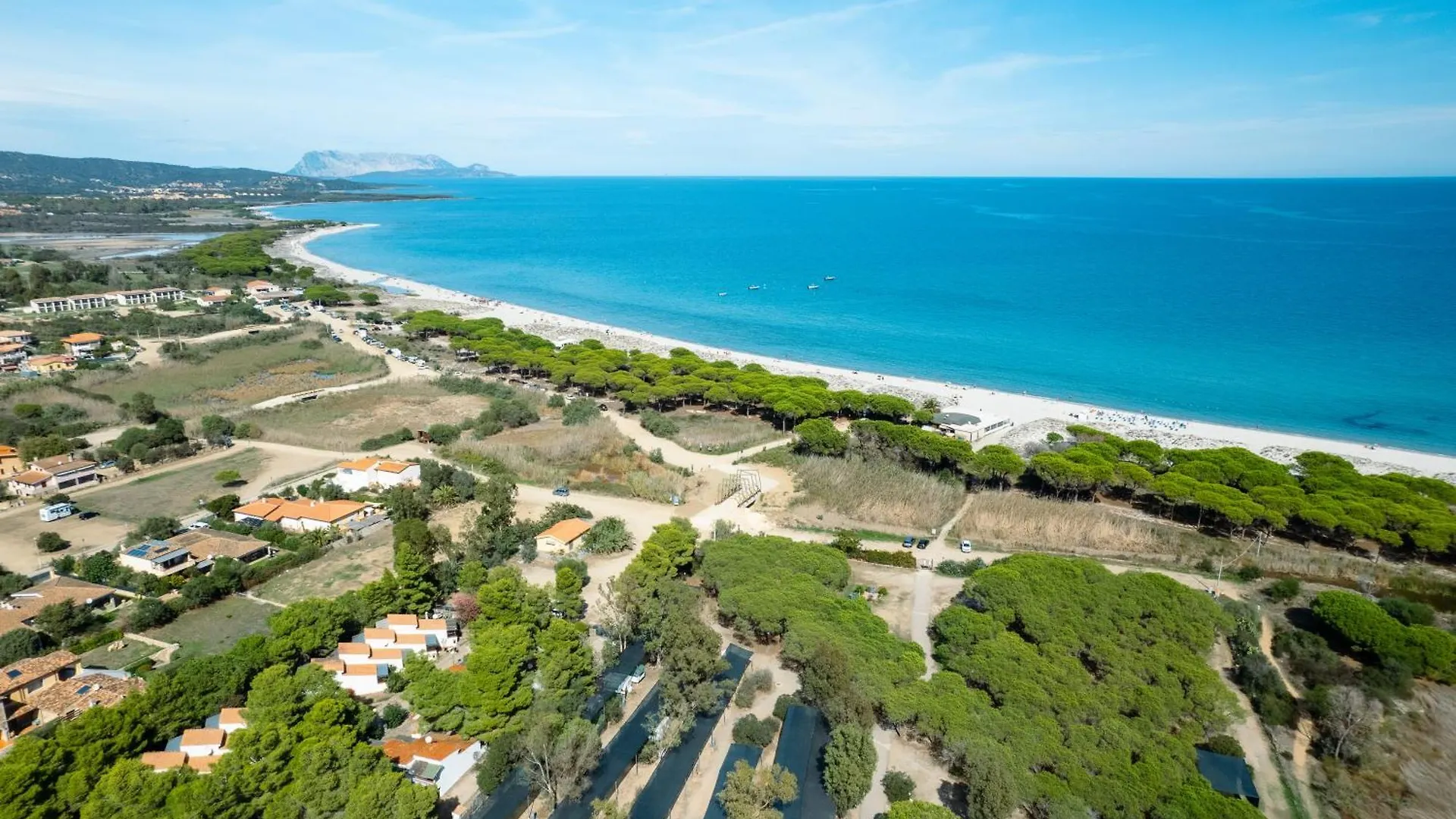 Appartamento Oasis Con Vista Mare Budoni Italia